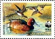 sos azerbaijan 704d   2000