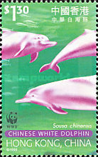 [Endangered Species - Indo-Pacific Humpbacked Dolphin, "Chinese White Dolphin", type ABR]
