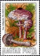 [Mushrooms, type EFY]