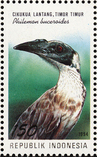 http://www.birdtheme.org/showimages/indonesi/i/ino199403l.jpg
