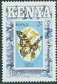 #536