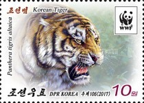 [WWF - Tigers, type HMJ]