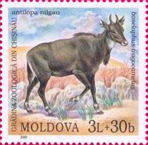 sos moldova 386  2001