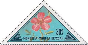 1973-Rhododendron-dahuricum
