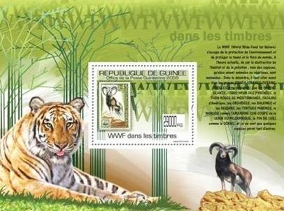 guinea%20wwf%20ss%201%20v