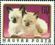 #2324