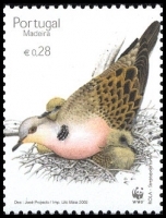 #222a