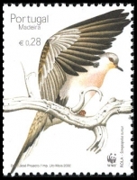 #222b