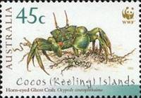 #334a