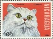 3465b-sos nicaragua 1327  1984
