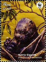 [Endangered Species - Giant Otter, Scrivi BBX]
