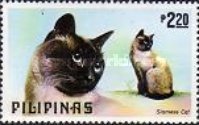 [Dogs and Cats, type AOW]