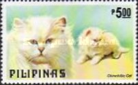 [Dogs and Cats, type AOY]