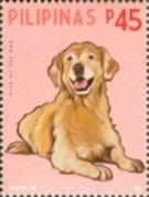 in philippines 3821-- sos philippines 3737b design component  dog only  2018