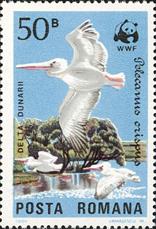 sos romania 3232 1984
