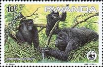 sos rwanda 1208  1985