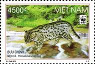 sos viet nam 3392  2010