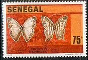 #557