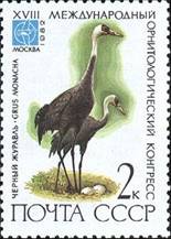 ss 1 v margin detail 1-- sos russia-ussr 5050  1982