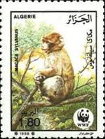 ss4v b-- sos algeria 875 1988