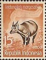 sos indonesia 474  1959