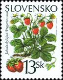 sos slovakia 363b from ss  design component of motif no inscriptions  2000