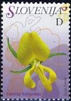 2007D