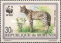 [The Serval, Scrivi BCF]