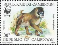 sos cameroon 843  1988