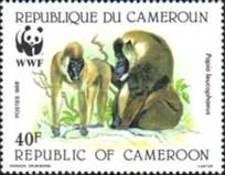 [Endangered Mammals - Drill Baboon, Scrivi AEA]
