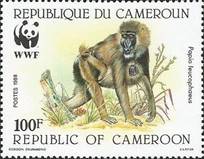 sos cameroon 846  1988