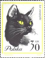 ss1v-- sos poland 1216 1964