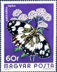 ss4v c--sos hungary 2314 1974