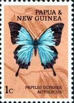 ss1v margin sos papua new guinea