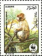 ss4v b-- sos algeria 875 1988