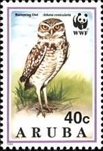 ss4v c-- sos aruba 104 1994