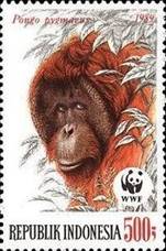 ss4v d-- sos indonesia 1383 1989