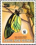 ss1v margin-- sos papua new guinea 699 1988