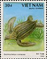 ss4v d-- sos viet nam 1968 1989