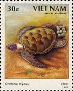 ss1v-- sos viet nam 1969 1989