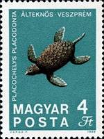 ss1v margin--sos hungary 1996 1969