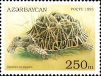ss1v margin sos azerbaijan 523 1995