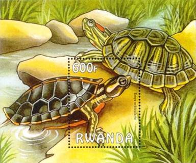 ss1v margin--sos rwanda--from unlisted ss--unknown issue date