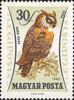 ss4v a--sos hungary C228 1962