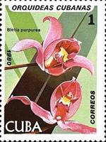 ss4v a-- sos cuba 2328 1980