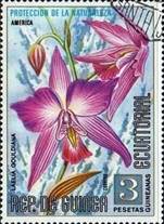 ss1v-- sos equatorial guinea 74105 1974