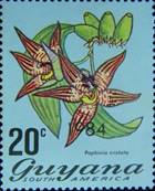 ss1v margin-- sos guyana 807 1984