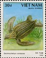 ss4v d-- sos viet nam 1968 1989