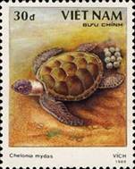 ss1v-- sos viet nam 1969 1989