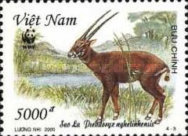 [Endangered Species - Saola, type CCD]